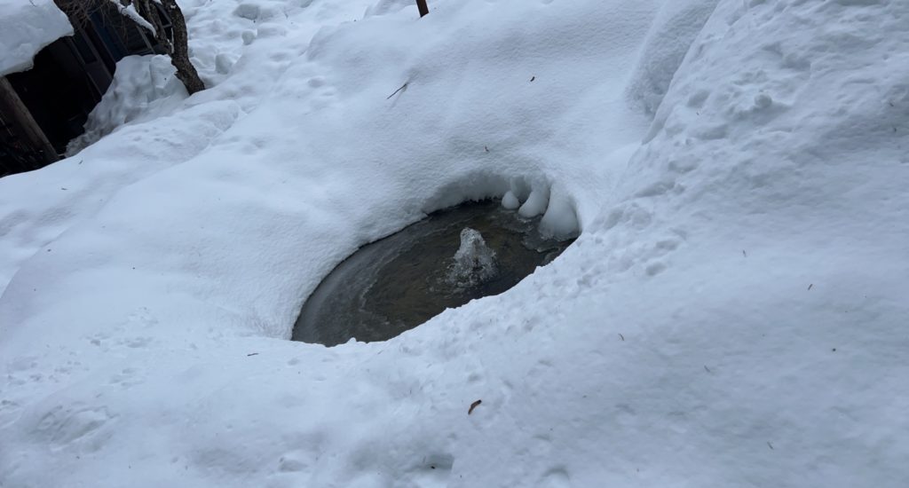 Cottonwood Creek Community Pond in the Winter